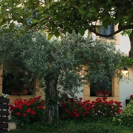 Casa vacanze Dimora La Grazia Castelvetrano
