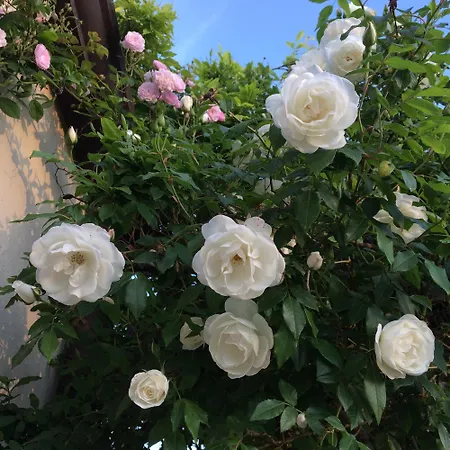 Holiday home Dimora La Grazia