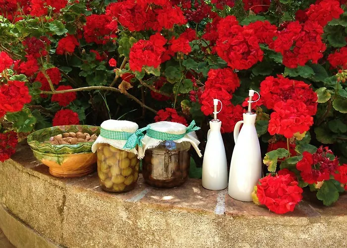 迪莫拉格拉齐亚度假屋