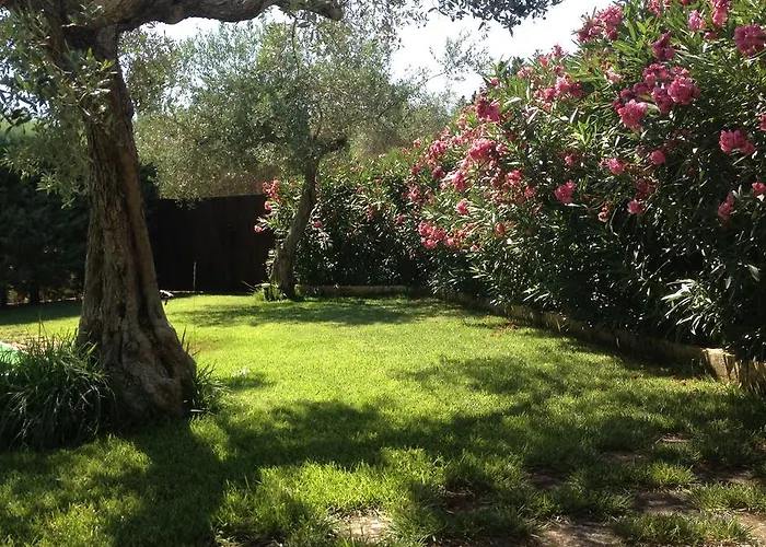 迪莫拉格拉齐亚度假屋 *