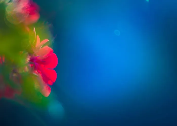 迪莫拉格拉齐亚度假屋 度假居 *