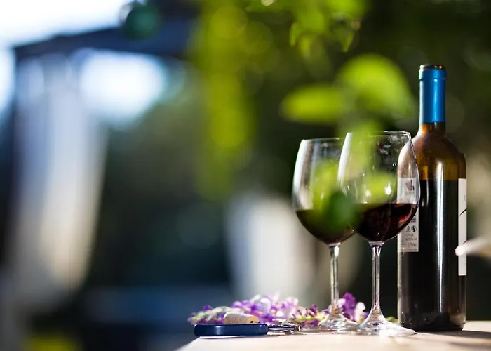 迪莫拉格拉齐亚度假屋 *